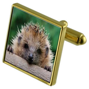【送料無料】メンズアクセサリ&mdash;　ハリネズミカフスボタンクリスタルタイクリップセットhedgehog goldtone cufflinks crystal tie clip gift set｜hokushin