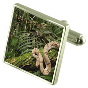【送料無料】メンズアクセサリ―　スターリングシルバーカフリンクスオプションボックスオンrainforest sterling silver cufflinks optional engraved box
