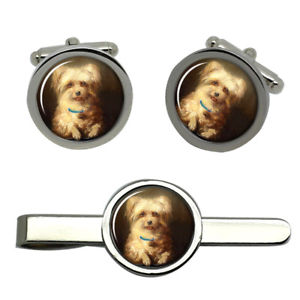 【送料無料】メンズアクセサリ―　ラウンドタイクリップセット listinggriffon bruxellois round cufflink and tie clip set
