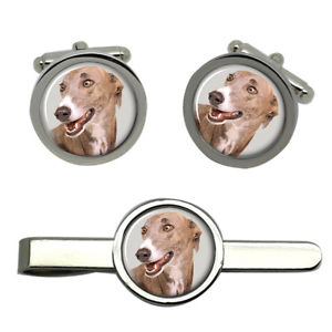 【送料無料】メンズアクセサリ— タイクリップセット listinggreyhound round cufflink and tie clip set|hokushin
