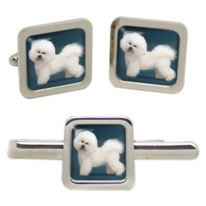 【送料無料】メンズアクセサリ— タイクリップセットbichon frise dog square cufflink and tie clip set|hokushin