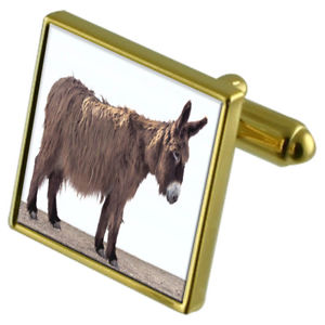 【送料無料】メンズアクセサリ&mdash;　ロバカフスボタンクリスタルタイクリップセットdonkey goldtone cufflinks crystal tie clip gift set｜hokushin