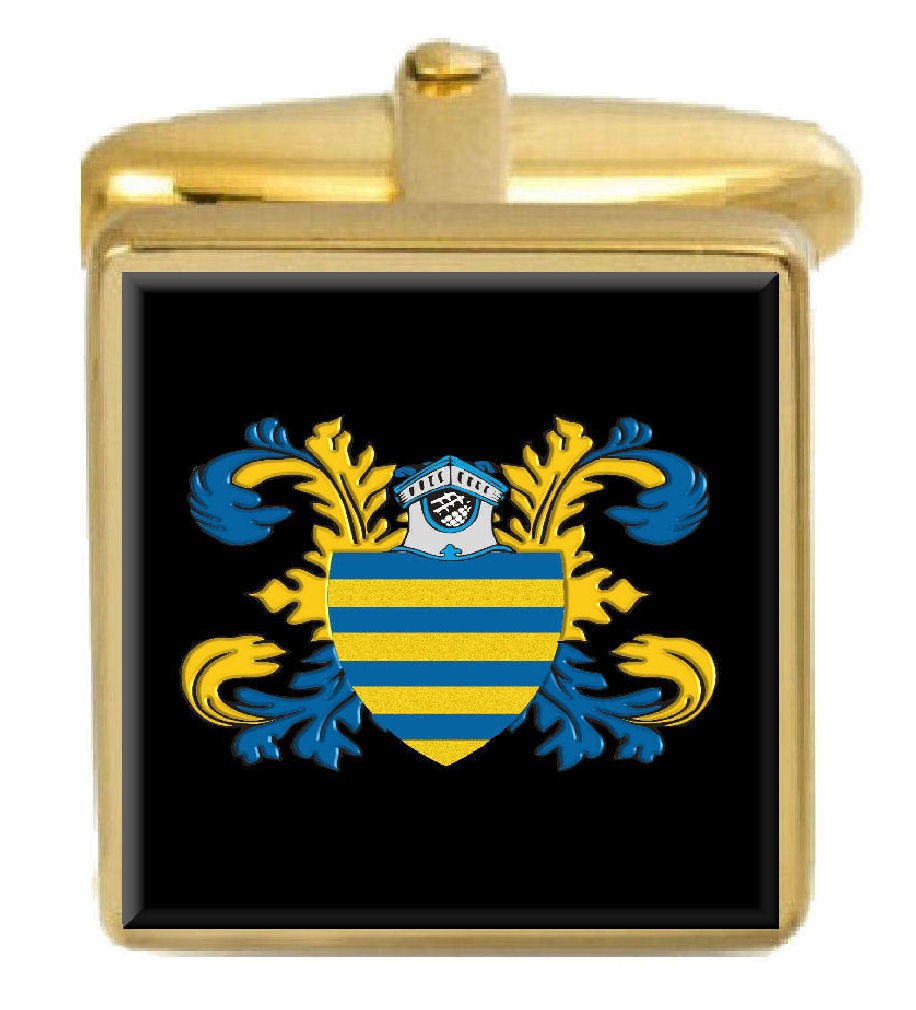 【送料無料】メンズアクセサリ― ソールズベリーイングランドカフスボタンボックスコートsalisbury england family crest surname coat of arms gold cufflinks engraved box