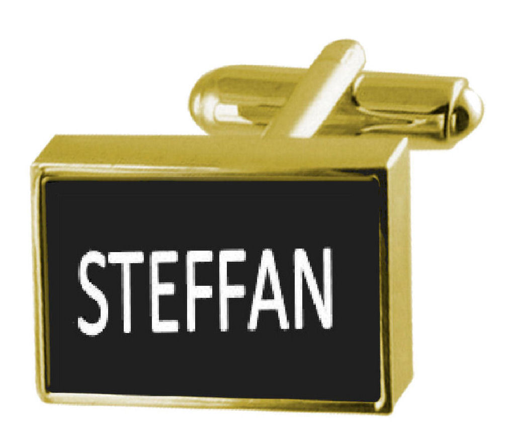 【送料無料】メンズアクセサリ―　カフリンクスマネークリップengraved money clip with cufflinks name steffan