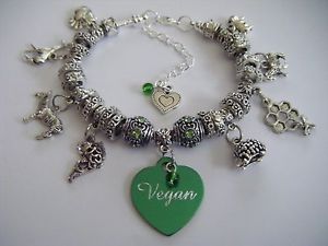 【送料無料】ブレスレット　アクセサリ―　ブレスレットvegan for humanity because all lives matter charm bracelet promoting veganism
