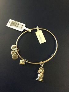 【貨物輸送無料】腕輪 付属物― アレックスブレスレットタグalex and ani the knight silver charm bracelet  w tags
