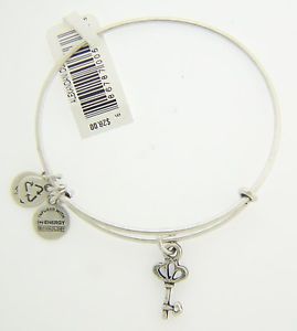 【送料無料】ブレスレット　アクセサリ―　アレックスシルバースケルトンキーブレスレット alex and ani skeleton key charm bracelet with silver finish 120