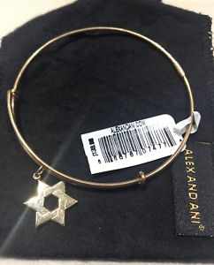 【貨物輸送無料】腕輪 付属品― アレックスｋゴールドデビッドalexamp;ani precious metal 14k gold filled star of david pc13b106g