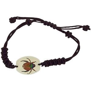 【送料無料】ブレスレット　アクセサリ―　コレクションブレスレットthe olivia collection brille dans le noir insecte bracelet avec vrai brillant 13,075円