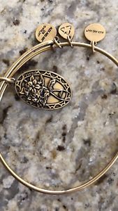 【送料無料】ブレスレット　アクセサリ―　アレックスブレスレットalex and ani friend bracelet