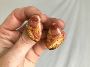 【送料無料】アクセサリー　ネックレス　ピカソジャスパーイヤリングpicasso jasper orecchini argento silvef