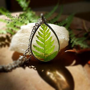 【送料無料】アクセサリー　ネックレス　シダスターリングシルバーネックレスvera foresta felcesterling argento collana