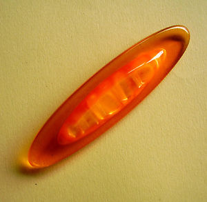 【送料無料】アクセサリー　ネックレス　オレンジ1754 broche resine orange