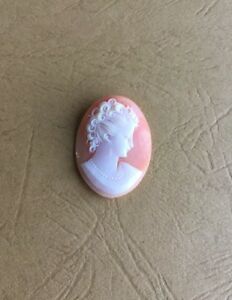 【送料無料】アクセサリー　ネックレス　vritable cam coquillage