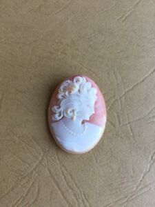 【送料無料】アクセサリー　ネックレス　vritable cam coquillage