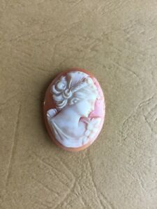 【送料無料】アクセサリー　ネックレス　vritable cam coquillage