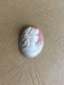 【送料無料】アクセサリー　ネックレス　vritable cam coquillage