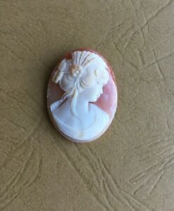 【送料無料】アクセサリー　ネックレス　vritable cam coquillage