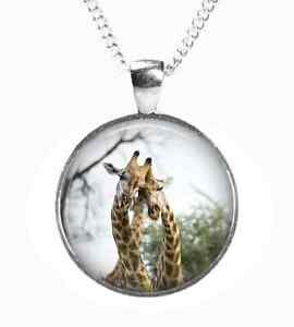 【貨物輸送無料】付属物 頸飾り ペンダントプリントフォトアートle giraffevetro foto ciondolo su cateninaargento placcato foto stampa art ab13 男女兼用アクセサリー-ジュエリー・アクセサリー-ネックレス・ペンダント