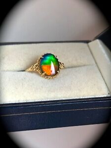【送料無料】ネックレス　イエローゴールドサイズlarge 10 x 8mm ammolite yellow gold size l certified beautiful colours bnwt