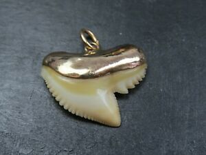 【送料無料】ネックレス　ヴィンテージゴールドマウントサメペンダントvintage 14ct gold mounted shark tooth pendant c1970