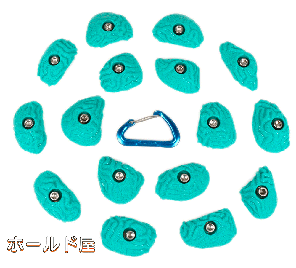 楽天市場 Bolt タイプ 15 ブレイン コーラル クリンプ 小さくてウネった表面のクライミングホールド Bolt タイプ ボルダリング 自宅で遊べる プライベートウォール 本格仕様 ホールド屋