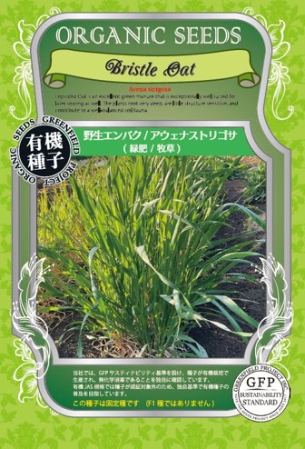 A519 野生エンバク（アウェナストリゴザ）緑肥 / 牧草 大袋 4560496705422 小袋 4560496705415