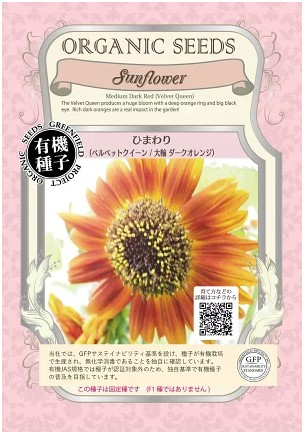 ⭐️ひまわりです 生花】ひまわり パナッシェ【黄/60cm/千葉県】｜Flower Smith