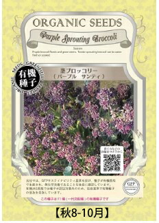 A527 茎ブロッコリー（パープルサンティ）小袋 4560496702445 大袋 4560496705484