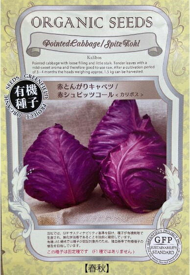 カリボスキャベツの種(紫とんがりキャベツ) 赤とんがりキャベツ 赤シュピッツコール カリボスの有機種子の通販