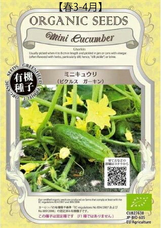 【4/16まで クーポン配布中 ポイント5倍】 A142 ミニキュウリ（ピクルスガーキン）大袋 4560496701462