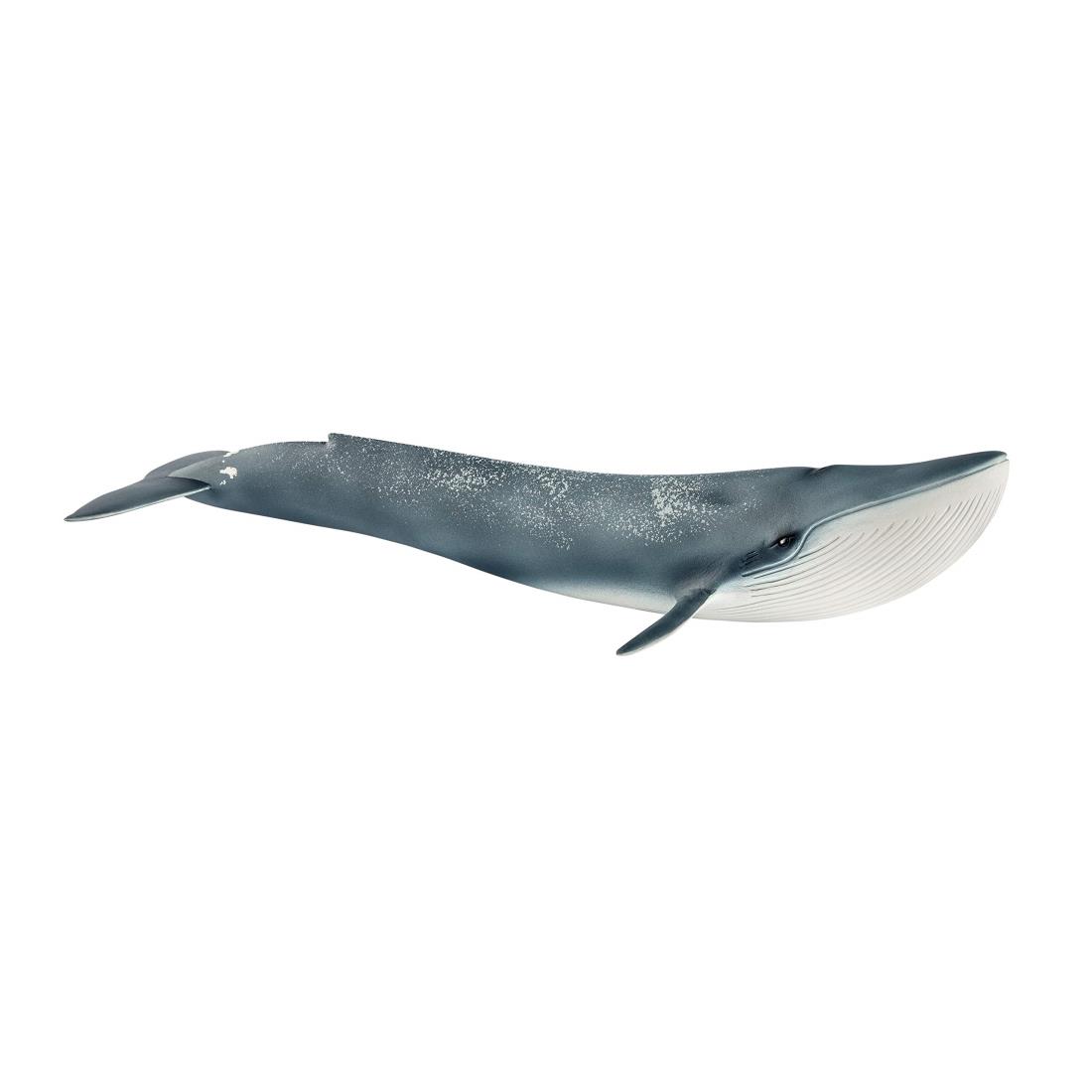 ザトウクジラ　シュライヒ　フィギュア　廃盤モデル 美品◾️廃盤品□シュライヒ ザトウクジラ(仔) - メルカリ