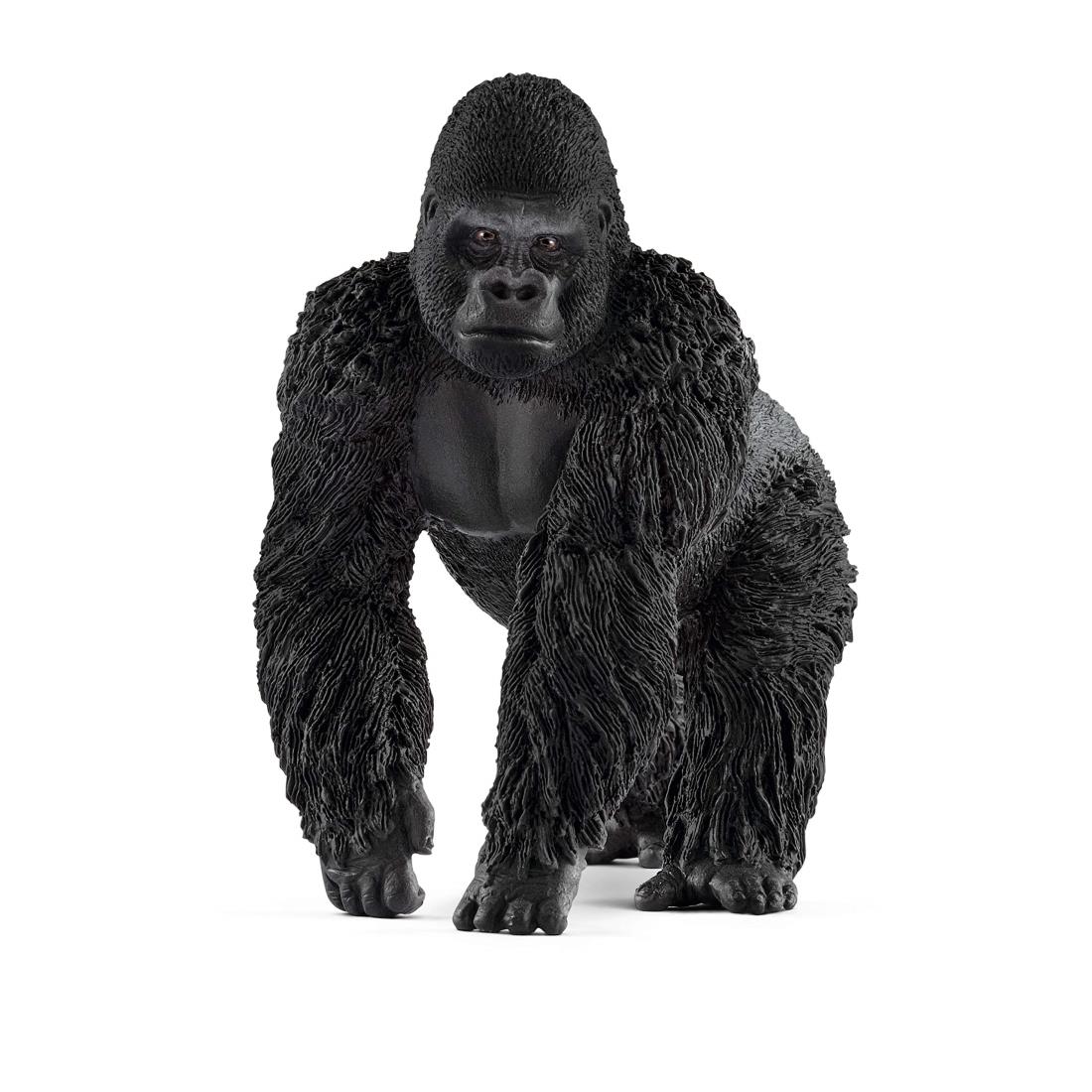 シュライヒ動物フィギュア　ゴリラ5点セット　シュライヒゴリラ 20241203224626_203_1.jpg