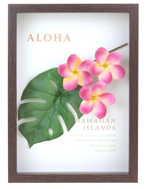 Hawaiian Accessories Interior Hawaii Gadgets Aloha Plumeria Frame Pink Goods Sundries Souvenir Gift 10p19dec15 Hawaiian Accessories Interior Hawaii Gadgets Aloha Plumeria Frame Pink Goods Sundries Souvenir Gift 10p19dec15