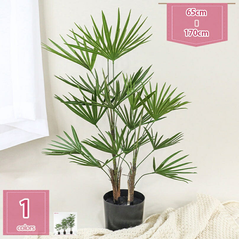 500円OFFクーポン券 大型フェイクグリーン 人工観葉草木 造花 北欧風 室内装飾 鉢植え 黒ポット付き添い人 リビング 執務室 バス発着場 かざり付ける フェイクプラント 水やり不必要 お取りつくろう飾り気の無い 開店祝賀会 営造祝賀会 着飾る 部屋の入り口 室内 臥し所 差し上げ物 差し上げ物 holosbird-goods1