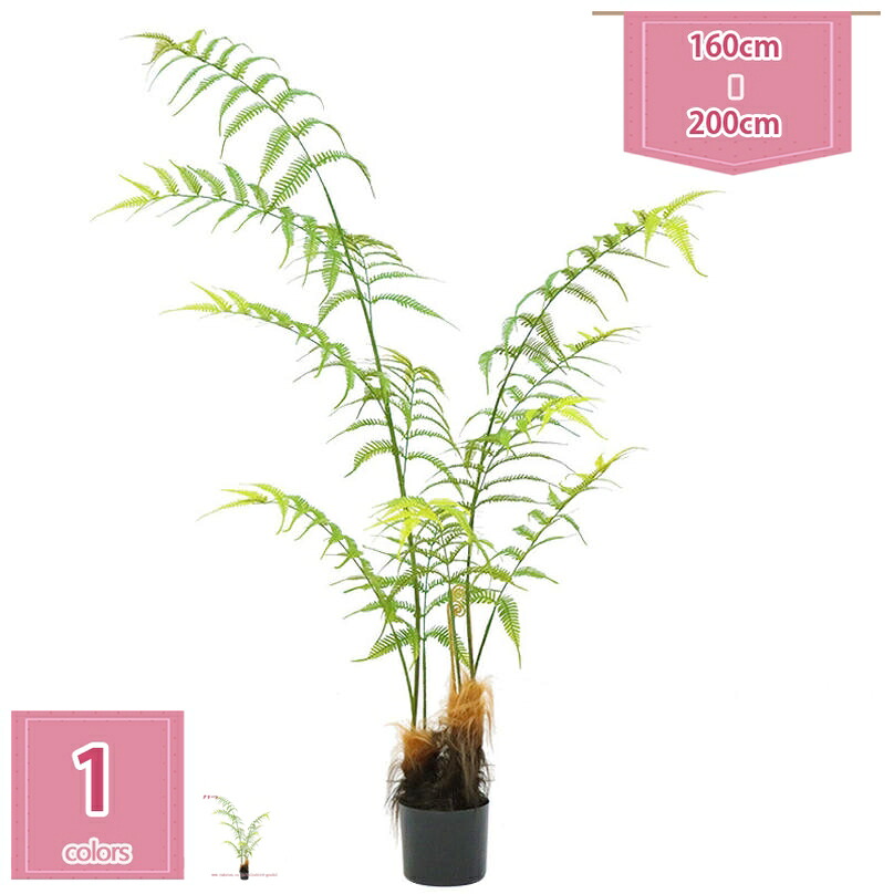 1000円OFFクーポン 北欧 大型 人工観葉植物フェイクグリーン シダ植物 造花 観葉樹 室内 ポットに入ったホーム&新築祝いの装飾に最適 世話がない 屋内 ホーム 玄関 オフィス インテリア おしゃれ 本物そっくり 鉢付き リビング holosbird-goods1｜Holosbirdgoods1