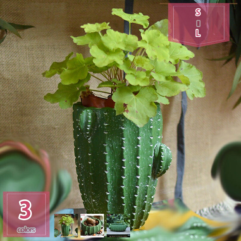 多肉植物ポット 大型 広口 可愛い 排水孔付き 陶器植木容器 植木鉢 お洒落 北欧風 観葉植物鉢 サボテン鉢 プランター鉢 装飾用プランター 底穴ある 園芸鉢 深型 インテリア鉢 鉢植えカバー ルーム リビング 装飾 鉢植え holosbird-goods1