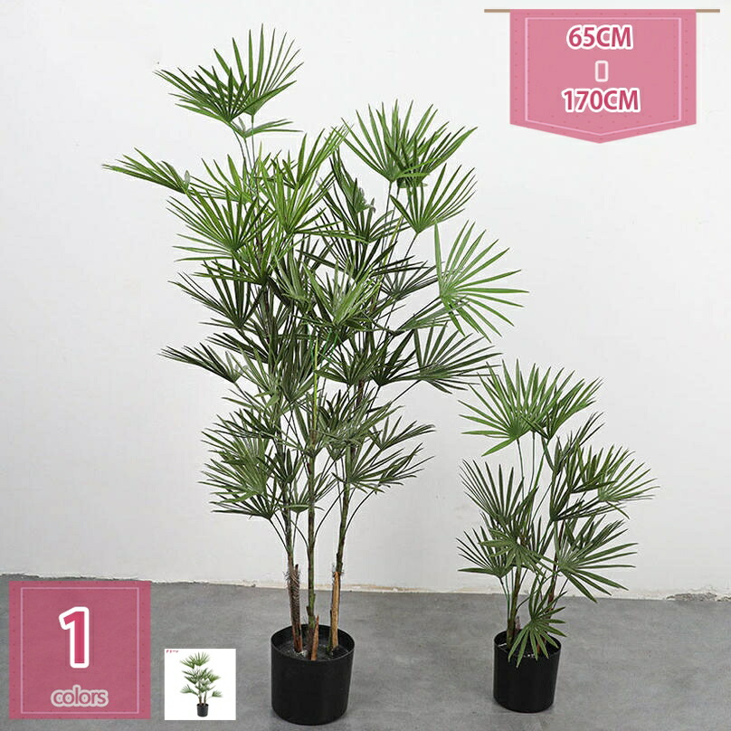  【MAUJO92YR4E】 限定デザイン
