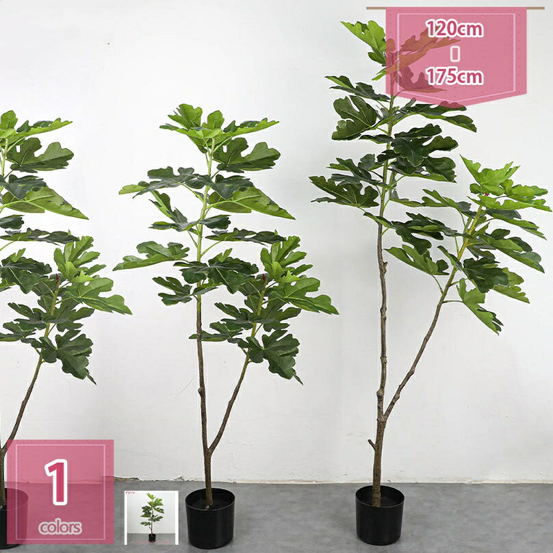 1000円OFFクーポン券 造花 鉢植え 観葉草木 まがい物 美術御花 人工観葉草木 室内装飾 馬鹿でかい フェイクグリーン 大型 部屋の入り口 今めかしい 営造祝賀会 か細い 本当の つつみ隠し 室内 緑 そっくり 草木 リビング 自然的 御部屋 執務室 ご住みか用 holosbird-goods1