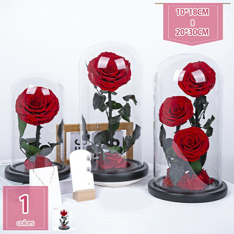 1000円OFFクーポン プリザーブドフラワー ガラスドーム 赤いバラ 永生花 ギフト プレゼント バレンタイン 誕生日 記念日 ギフトボックス 手作り インテリア 卓上 飾り ローズ 透明容器 ドームカバー holosbird-goods1|Holosbirdgoods1