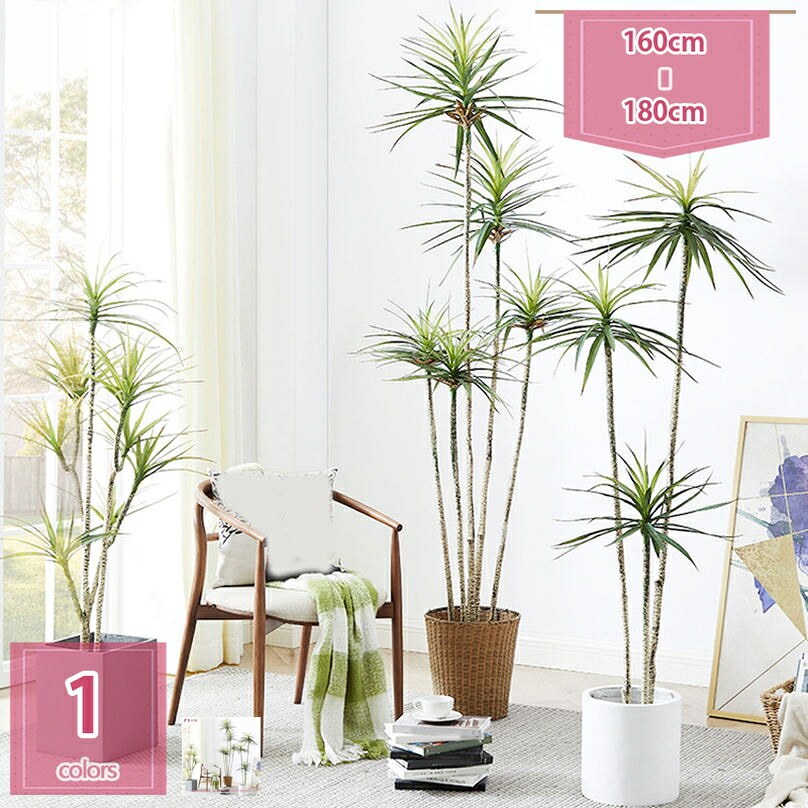 1000円OFFクーポン券 フェイクグリーン 人工 観葉草木 ドラセナ 鉢植え 仕合わせの木 造樹 人工あずま屋 風水 開運 飾りつけ 差し上げ物用 造花 枯れない緑であること 飾り気の無い保 水やり不必要 害虫根こそぎ不必要 北欧 今めかしい 今めかしい 差し上げ物 御祭り 差し上げ物 生まれ落ちる日 一緒になる holosbird-goods1