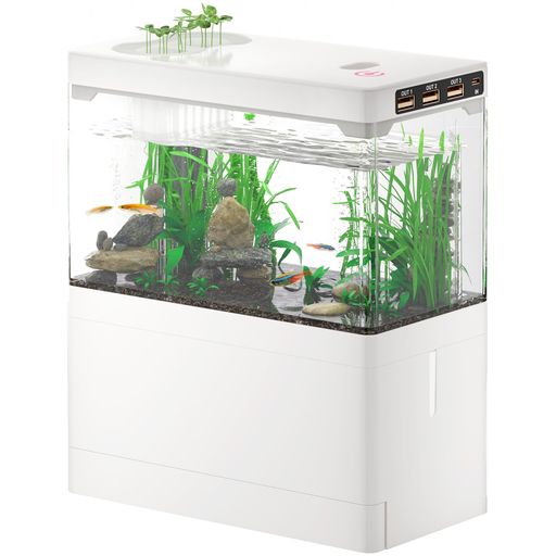 水槽内の個体リクエスト販売 e9g8wtufir-1.jpg