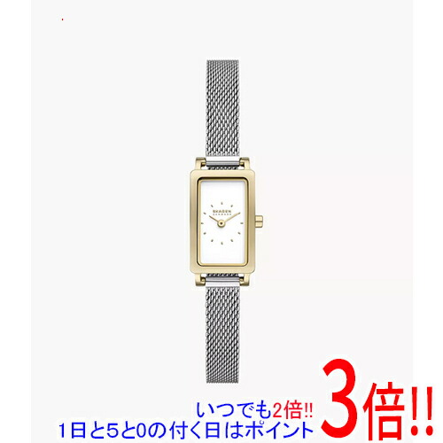 【いつでも２倍！1日と5.0のつく日、18日は3倍！】スカーゲン 腕時計 HAGEN MICRO SKW3147
