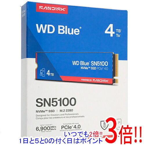 Sandisk WD Blue SN5100 NVMe SSD WDS400T5B0E 4結核症