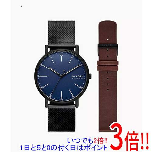 【いつでも２倍！1日と5.0のつく日、18日は3倍！】スカーゲン 腕時計 SIGNATUR SKW6933SET