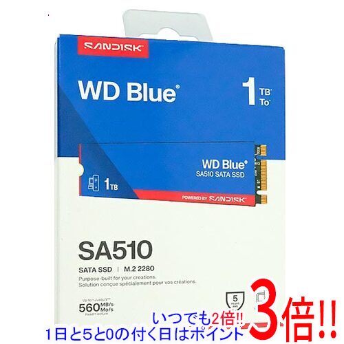 Sandisk SSD WD Blue SA510 SATA WDS100T3B0B 1肺結核