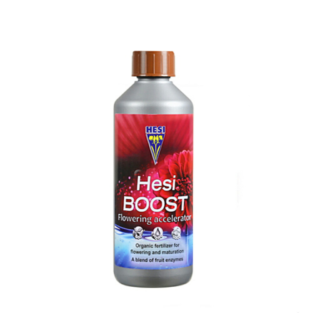 HESI BOOST ブースト