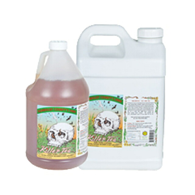 EmeraldTriangle KillerTea キラーティー|室内園芸専門店 HOME GROWN