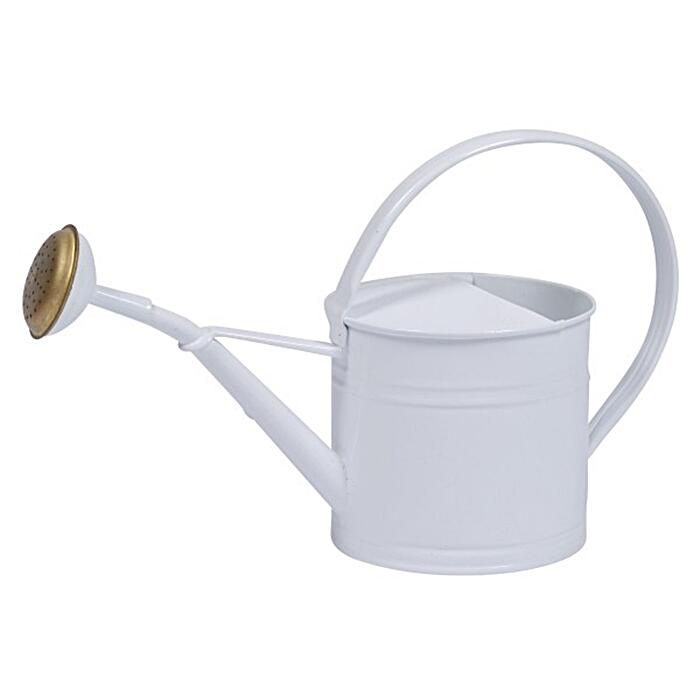 楽天市場】ステルトン stelton ブルーム フラワー ウォータリングカン