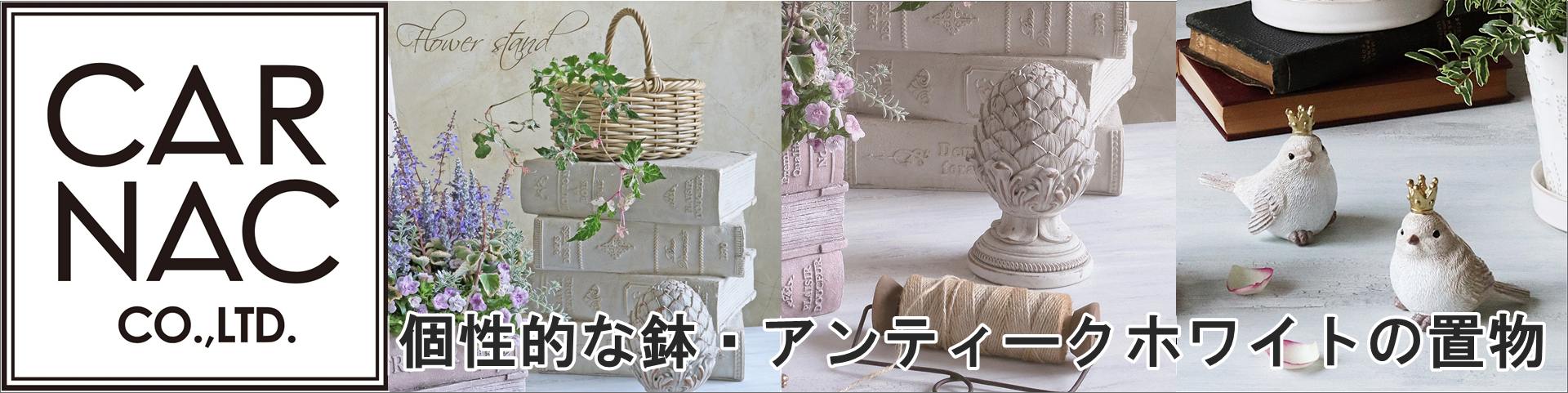 楽天市場】【野川農園】ガーゴイル 2匹セット 11666【ガーゴイル